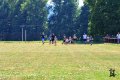 Beh_2018  16